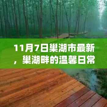 巢湖畔的温馨日常,11月7日暖阳下的友情故事