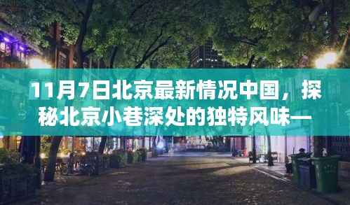 探秘北京小巷深处的独特风味,一家隐藏式特色小店的奇遇记——北京最新情况中国(11月7日)