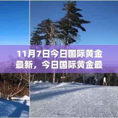 今日国际黄金最新动态解析及投资购买指南,适合初学者与进阶用户的黄金投资入门教程