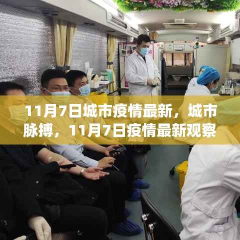 城市脉搏,最新疫情观察与深度解析(11月7日)