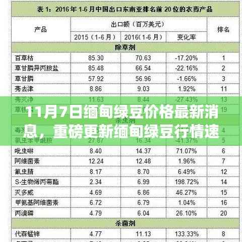 缅甸绿豆行情速递,最新价格动态揭秘(11月7日更新)