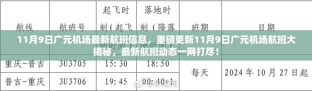 11月9日广元机场航班最新动态,揭秘最新航班信息一网打尽