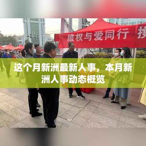 本月新洲人事动态概览,最新人事调整及动态分析