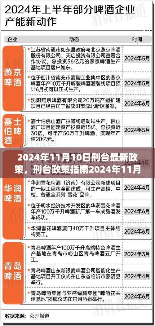 2024年刑台政策解读与操作指南,最新政策解读及操作指引