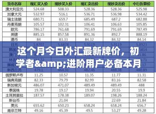 本月外汇最新牌价概览,初学者与进阶用户的查询步骤指南
