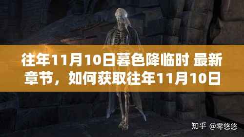 往年11月10日暮色降临时最新章节获取指南与详细步骤