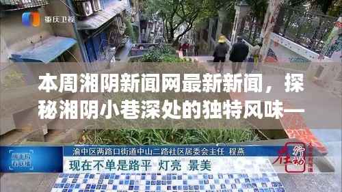 湘阴新闻网本周揭秘,小巷深处的独特风味与新闻背后的故事