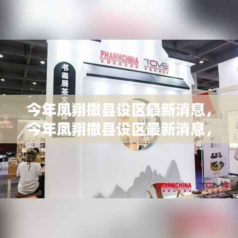 凤翔撤县设区最新动态,揭秘背后的故事与未来展望