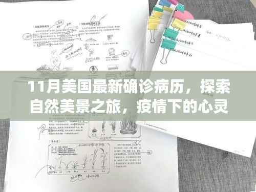 疫情下的美国探索之旅,自然美景与心灵疗愈的启程
