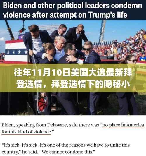 拜登选情下的隐秘小巷,特色小店的独特故事揭示选情变迁