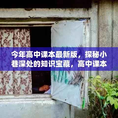 高中课本最新版探秘,小巷深处的知识宝藏与特色小店揭秘