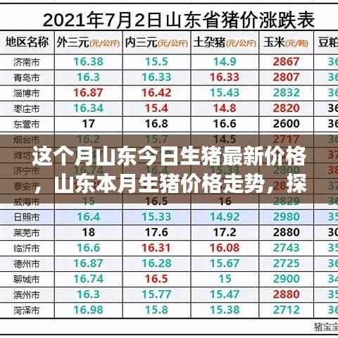 山东本月生猪价格走势揭秘,最新价格与背后影响因素探究