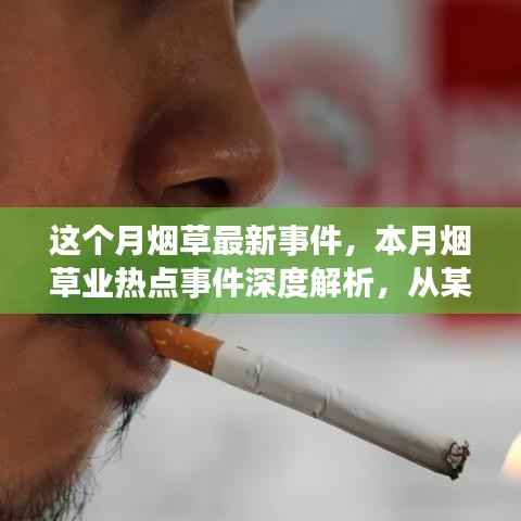 本月烟草业热点事件深度解析,从某某视角看挑战与影响