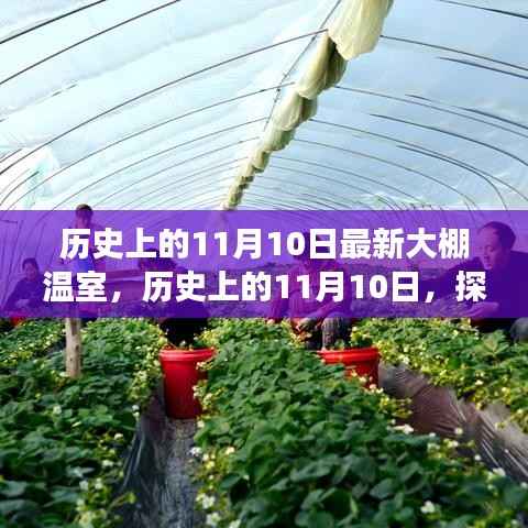 历史上的11月10日,探寻最新大棚温室技术的演变历程