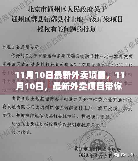 11月10日最新外卖项目,开启心灵之旅的味蕾冒险