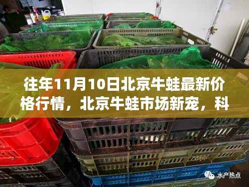 北京牛蛙市场新宠,科技引领行情,未来生活新篇章揭晓的牛蛙价格行情分析