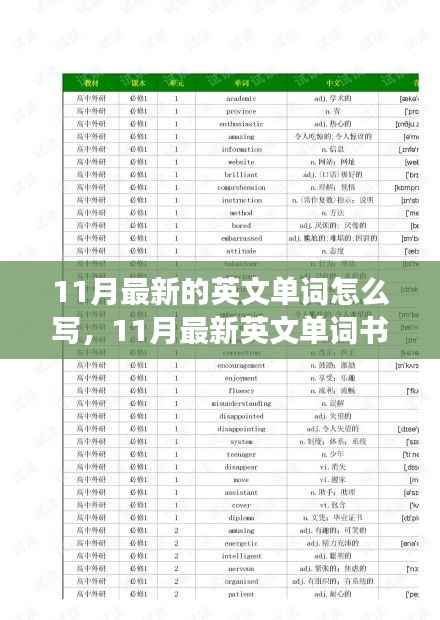 深入解析,最新英文单词书写探讨——以11月为例