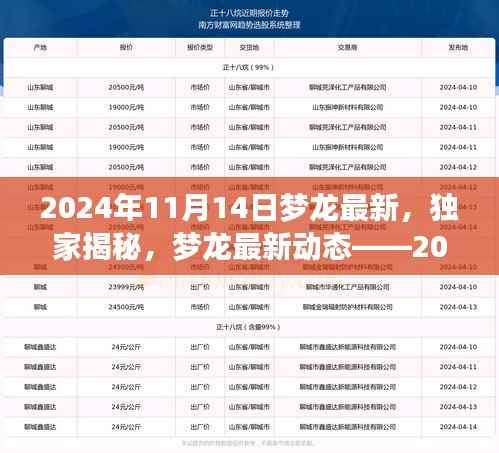 独家揭秘,梦龙最新动态——探索之旅(2024年11月14日)