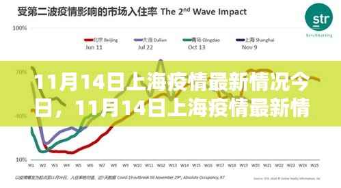 上海疫情最新动态,11月14日分析与更新