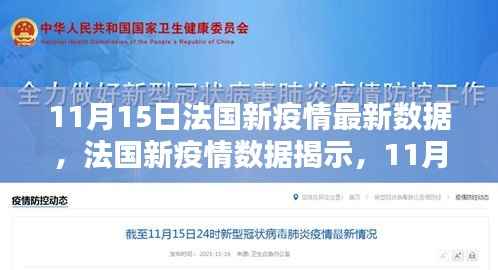 法国新疫情数据揭示,11月15日的挑战与启示报告发布