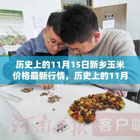 历史上的新乡玉米价格最新行情报告,深度解析11月15日市场走势