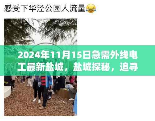 盐城外线电工奇遇,探寻自然美景之旅与电共舞的一天