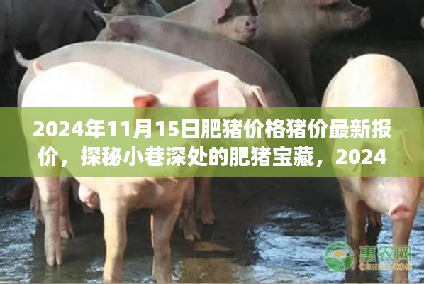 新闻中心 第337页