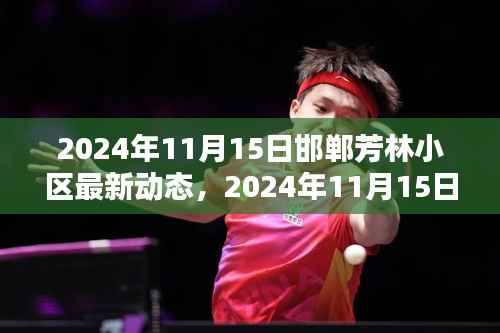 独家报道,邯郸芳林小区最新动态 2024年11月15日更新