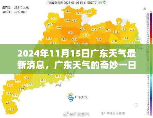 admin 第4页
