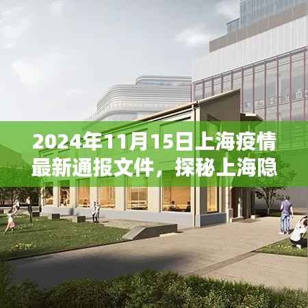 上海疫情最新通报与隐秘小巷的独特风味小店探访纪实(2024年11月)