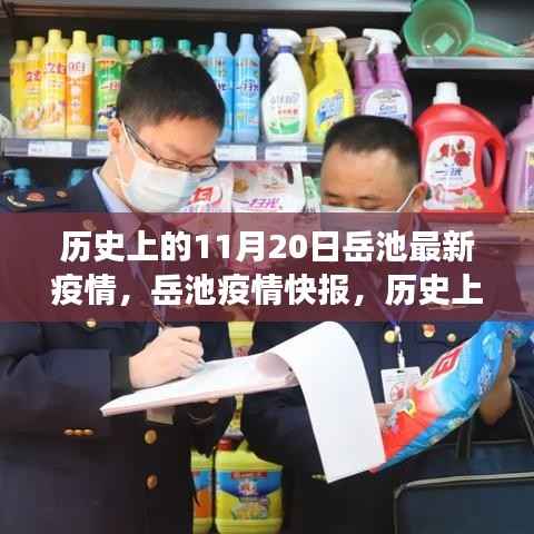 历史上的11月20日岳池疫情进展与最新快报,岳池疫情动态回顾与更新