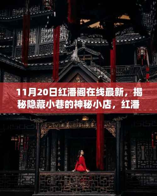 探秘隐藏小巷的神秘小店,红潘阁在线最新探秘之旅