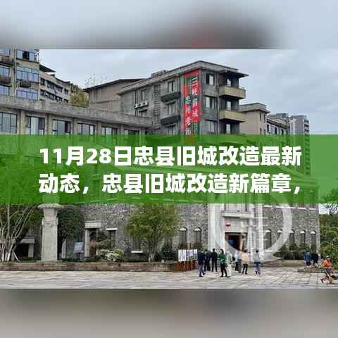 admin 第3页