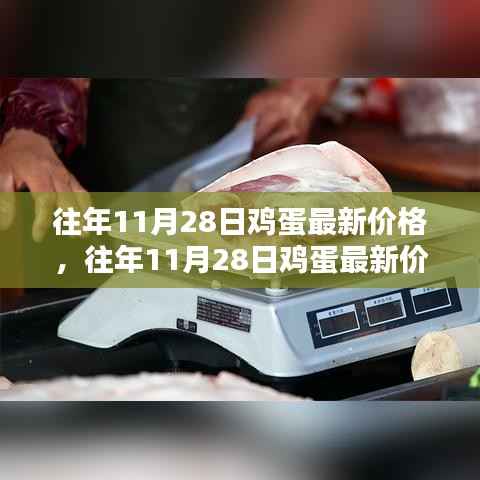 往年11月28日鸡蛋价格深度解析,最新行情与评测介绍