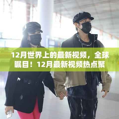 全球瞩目的焦点,12月最新视频热点聚焦