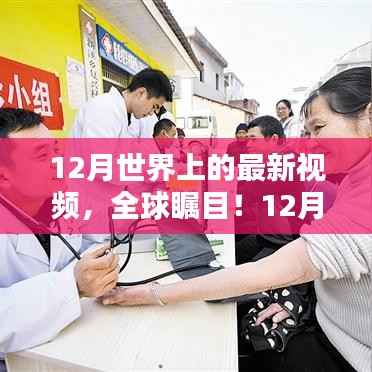 全球瞩目的焦点,12月最新视频热点聚焦
