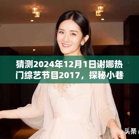 探秘小巷深处的独特魅力,谢娜综艺节目背后的隐藏小店与未来综艺节目展望(2024年最新预测)