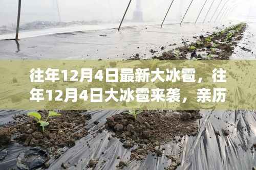 张牙舞爪 第4页
