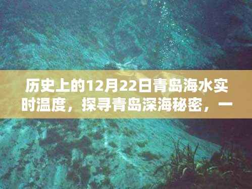 探寻青岛深海秘密,历史海水温度揭秘与隐藏小巷的特色小店介绍