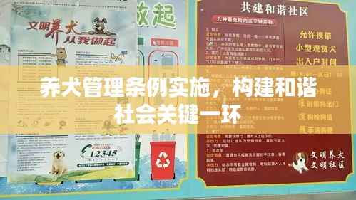 养犬管理条例实施,构建和谐社会关键一环