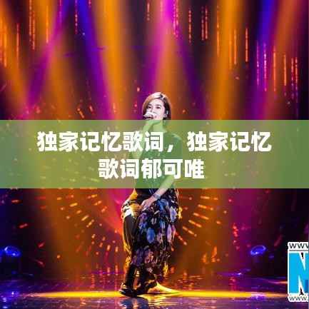 独家记忆歌词，独家记忆歌词郁可唯 