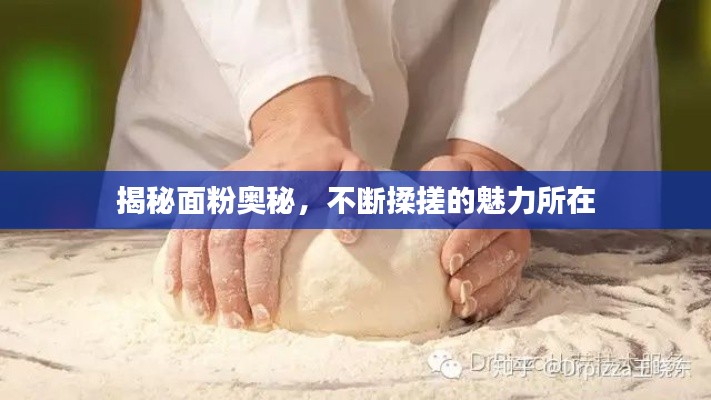 犯而不校