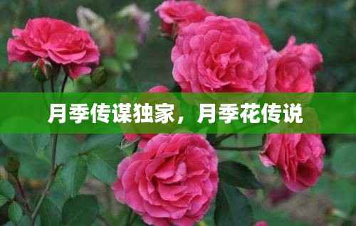 刬旧谋新