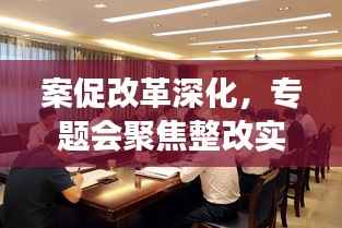 案促改革深化,专题会聚焦整改实效