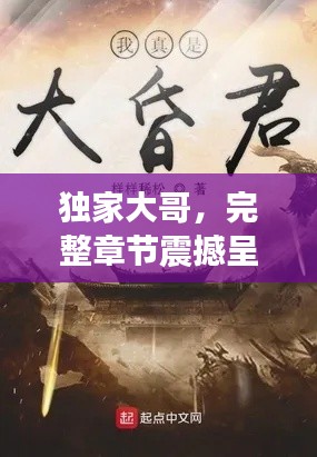 独家大哥,完整章节震撼呈现