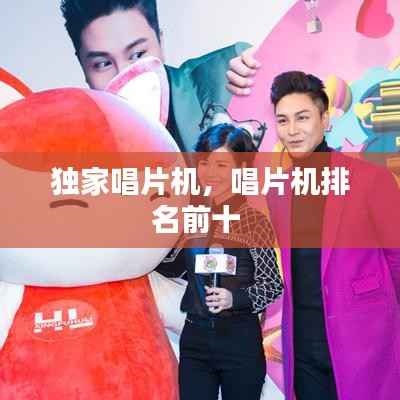 独家唱片机,唱片机排名前十