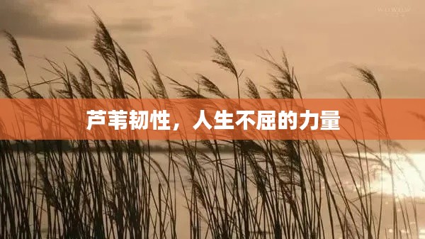 新闻中心 第168页