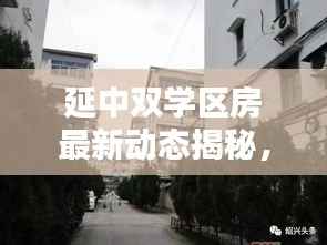 延中双学区房最新动态揭秘,不容错过的教育地产资讯!