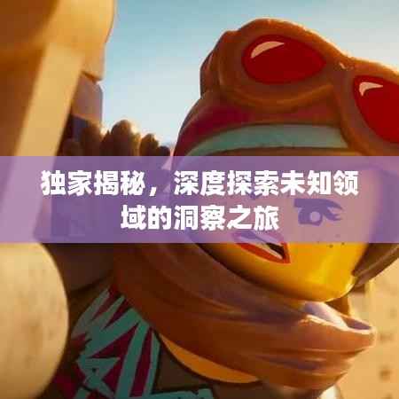 独家揭秘,深度探索未知领域的洞察之旅