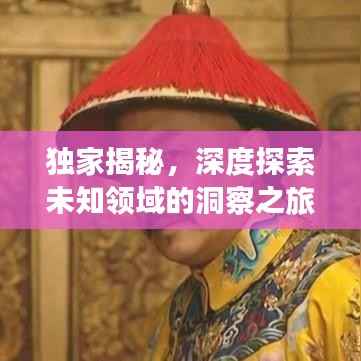 独家揭秘,深度探索未知领域的洞察之旅